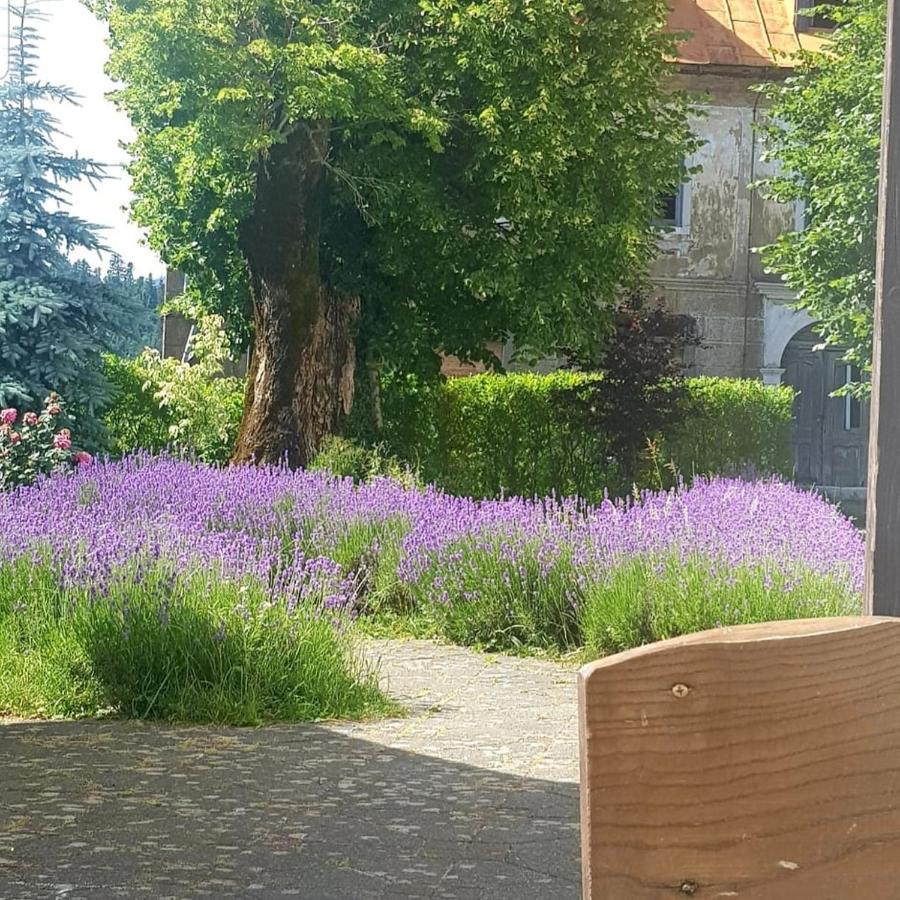 Fuzinarska Kuca Otel Fužine Dış mekan fotoğraf